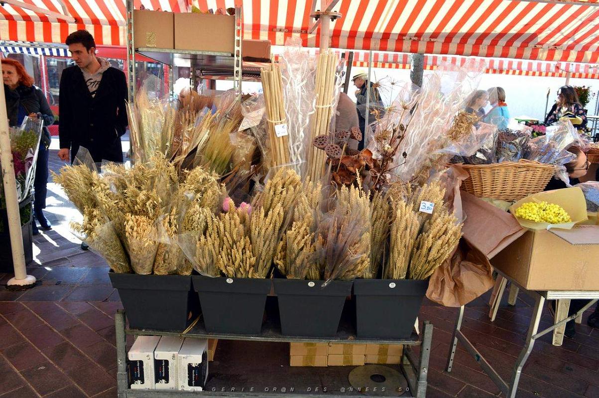 126- Vieux Nice .JPG
